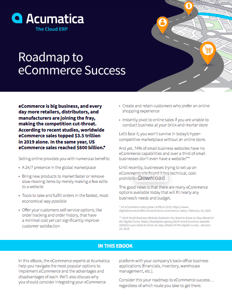 Roadmap-to-eCommerce