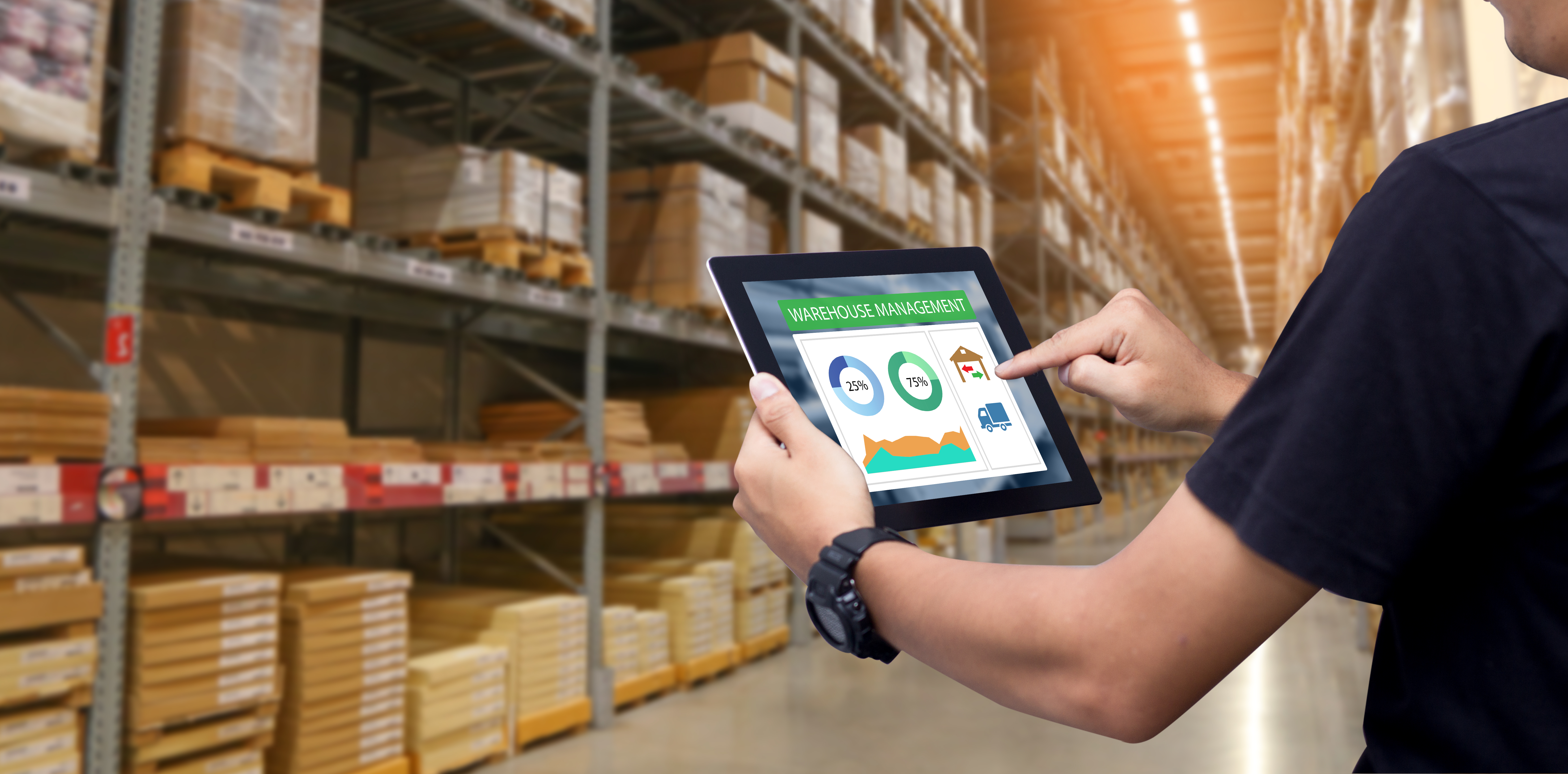 How Warehouse Management Software Can Work For You